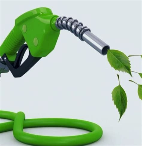 Honda benzín e10 je schválený na použitie vo všetkých európskych modeloch s benzínovými motormi vybavených elektronickým systémom vstrekovania paliva (honda. Jenis Tanaman Energi Yang Dapat Menghasilkan Bahan Bakar ...