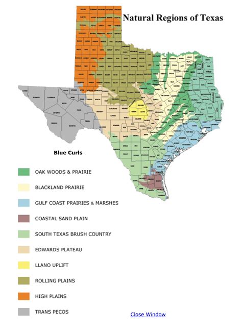 Ecoregions Of Texas Natural Regions Wooden Pallet Projects Texas Map