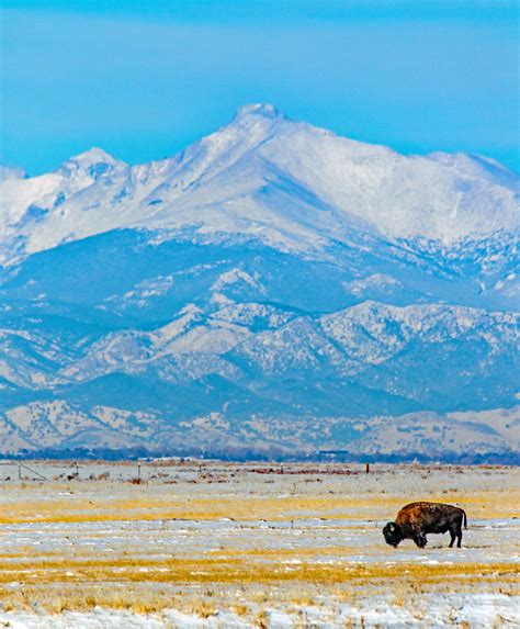 A5e3a9244 Rocky Mountain Arsenal National Wildlife Refuge Flickr