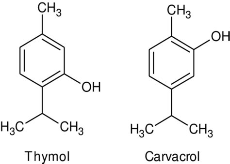 Beneficial Effects Of Two Fantastic Bio Actives Thymol And Carvacrol