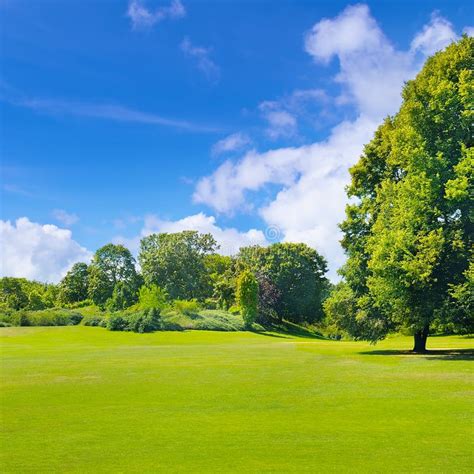 Park Green Meadow And Blue Sky Stock Image Image Of Lawn Fresh