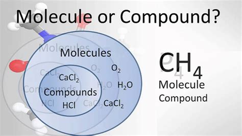 What Is Molecule Difference Between Molecule Vs Compound Education Waves