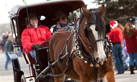 Join The Parker Christmas Carriage Parade Yourhub
