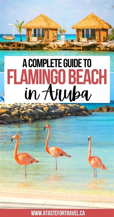 How To Get A Day Pass To Renaissance Island Aruba In 2023 Aruba