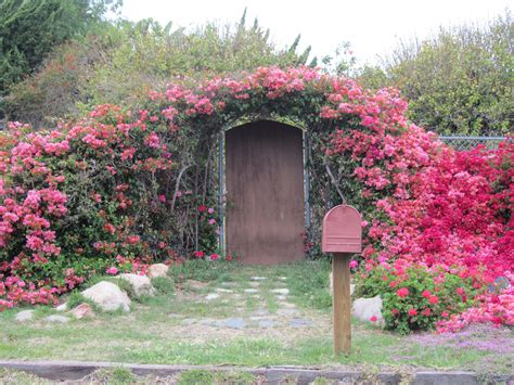 enchanting secret garden door | Secret garden door, Minimalist garden