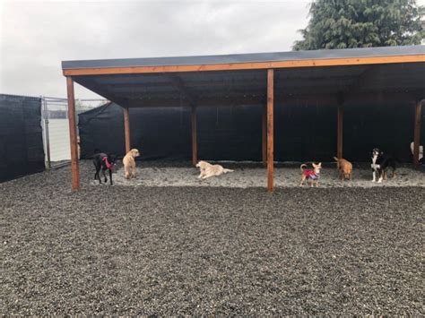 Making Rainshade Shelters For Your Dog Kennel Or Dog Daycare Paw
