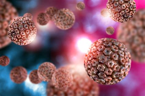 Infections are categorized based on the part of the body infected. Scientists have deciphered the herpes virus genome | FREE NEWS
