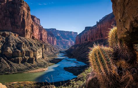 Free Entrance To Grand Canyon National Park For Veterans Day Williams