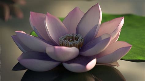 Migliaia di nuove immagini di alta qualità aggiunte ogni giorno. Fiori di loto - Blender • Resonance