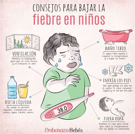 Cómo Bajarle La Fiebre A Un Bebé De 2 Meses Mibbmemima ️