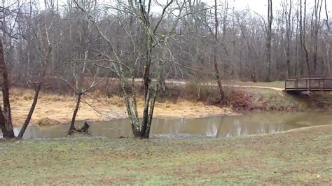 Civil Warbattle Of Beaver Dam Creek Big Union Victory Casualties