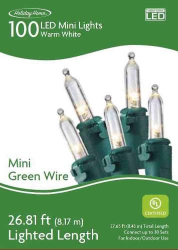 Holiday Home Indoor Outdoor 100 Green Wire LED Mini Christmas Lights