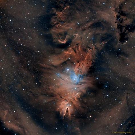 Sh2 273 The Cone Nebula Pedro Sánchez Astrobin