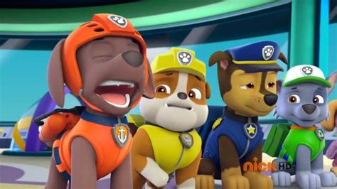 Zuma In Season 2 Paw Patrol Photo 40150933 Fanpop