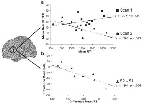 Brain Behavior Correlations Download Scientific Diagram