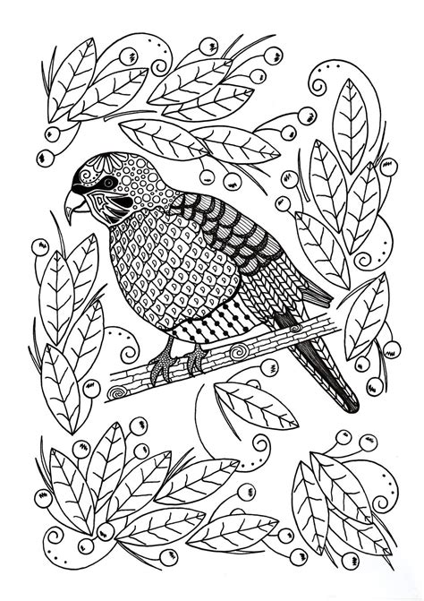 Coloring Pages For Adults Birds