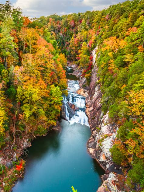 Where To See Fall Colors In Georgia In 2023 Gringa Journeys