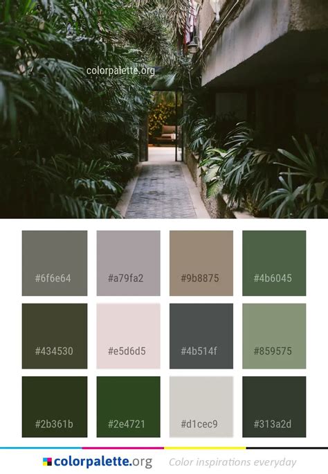 Jungle Color Palette Ideas