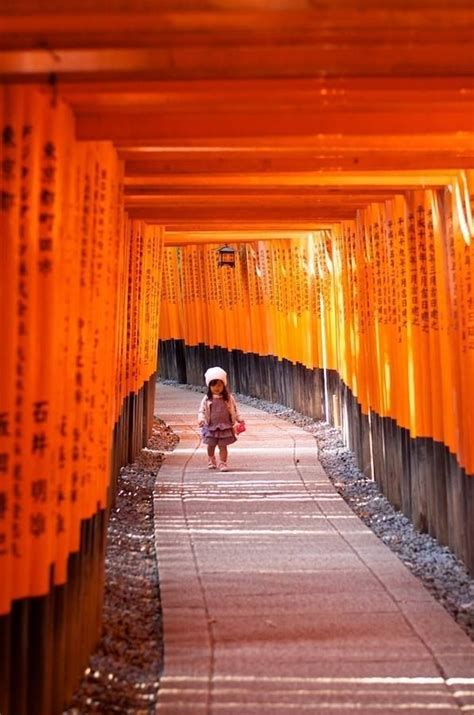 Colororange Kyoto Japan Japan Travel Japan Travel Tips