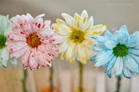 Diy paper flowers craft kit: 12 Spring Science Activities Your Kids Will Love ...