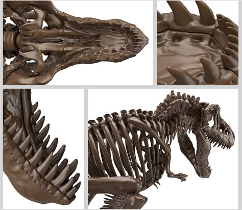 Bandai 132 Imaginary Skeleton Tyrannosaurus Rex Model Kit