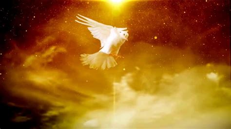 Holy Spirit In A Form Of Dove Video Background Loop 1080p Full Hd