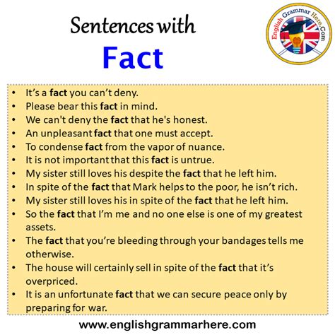 Sentences With Internal Internal In A Sentence In English Sentences