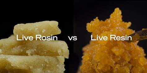 Live Rosin Vs Live Resin Similarities And Differences