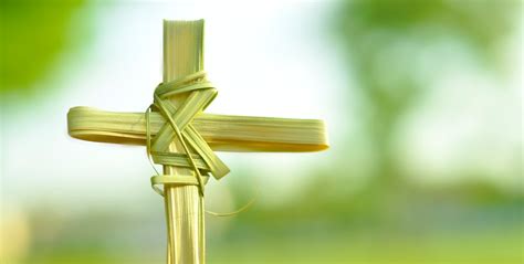 42 Palm Sunday Wallpapers For Desktops Wallpapersafari