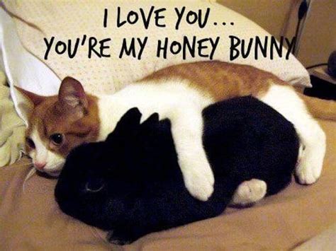 Share the best gifs now >>>. 32 Love Memes That Are so Sweet You Can Literally Taste It