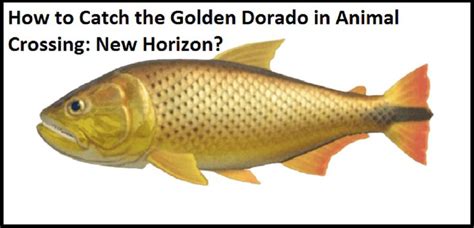 How To Catch The Golden Dorado In Animal Crossing New Horizon