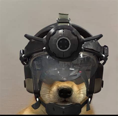 Funny Dog With Goggles And Helmet