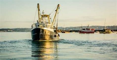 Fisheries Deal Between Uk And Eu Norway Fish Focus