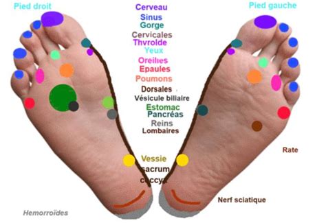 Je sentais sa douleur impuissante. Réflexologie plantaire : masser les pieds et calmer la ...