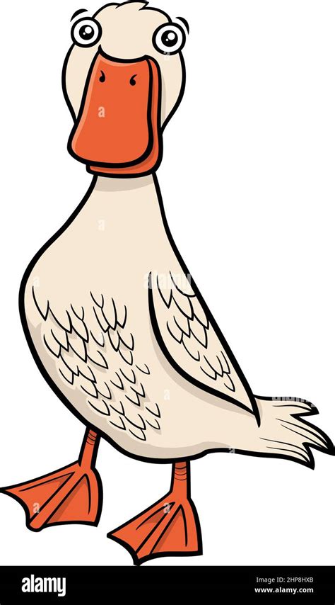 Funny Cartoon Duck Stock Vector Images Alamy