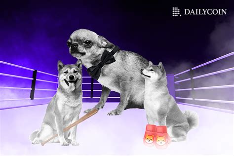 Can Bonk Bonk Overtake Rivals Shiba Inu Shib And Dogecoin Doge