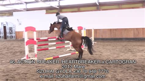 46 Action Breaker Heartbreaker X Cartogran 2013 Mare Jumping Horse For