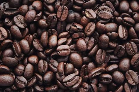 35 can coffee beans images