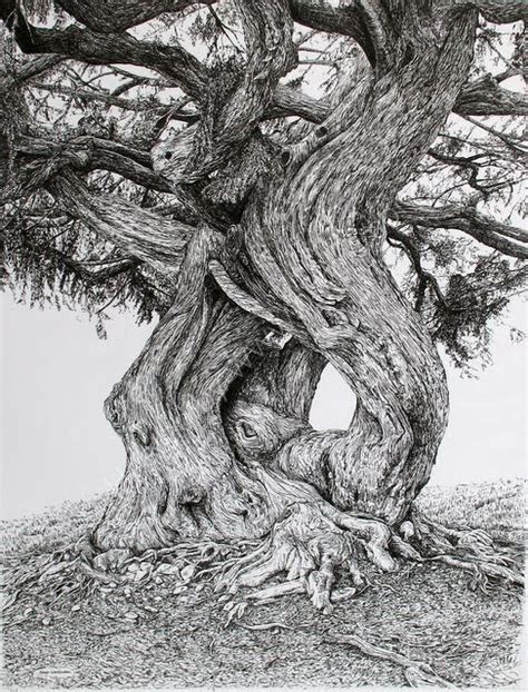 Bewitching And Beautiful Black Ink Drawings To Bedazzle ...
