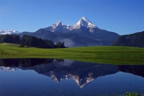 Many plant and animal species live here in forests, mountains. Nationalpark Berchtesgaden - Junior Ranger