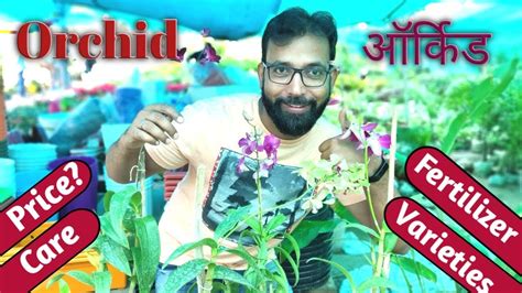 Thus, fertilizing orchids will achieve better development efficiency. How to Care ORCHID Plant | Orchid Flower Plant | Best ...