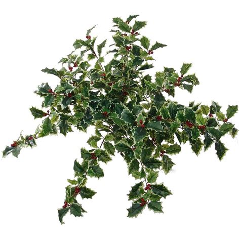 The Holiday Aisle® Huge Artificial Real Touch Holly Bush Leaves And 56