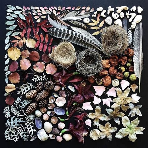 Artist Creates Beautiful Order From Foraged Objects Nature Collage