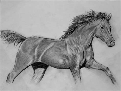 How To Draw A Realistic Horse Step By Step Video For Beginners And Kids
