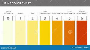 Urine Color Chart Illustration Of Dehydration Level Cartoondealer Com