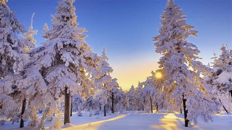 Peaceful Winter Wallpapers Top Free Peaceful Winter Backgrounds