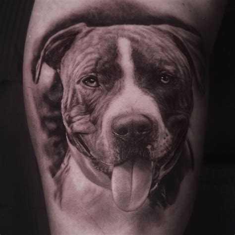 Dog Portrait Tattoo Artist Made A Good History Image Library