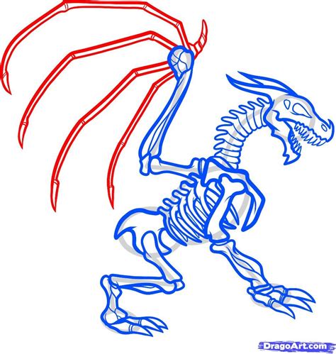 How To Draw A Dragon Skeleton Dragon Skeleton Step 11