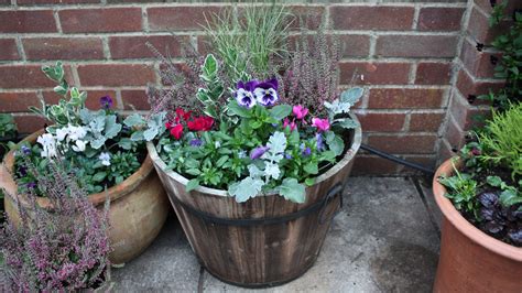 How To Plant A Winter Container Follow Our Step By Step Guide For