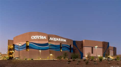 Odysea Aquarium Drops 1m To Add 16 New Exhibits Phoenix Business Journal